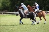 UKPA  NC Sat_1284
